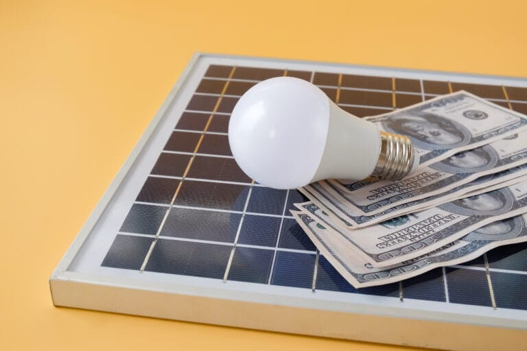 Combien Rapportent Vraiment les Panneaux Solaires ?